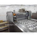 Hot sale Modern, Automatic and Efficient apricots cutting and pitting machine
